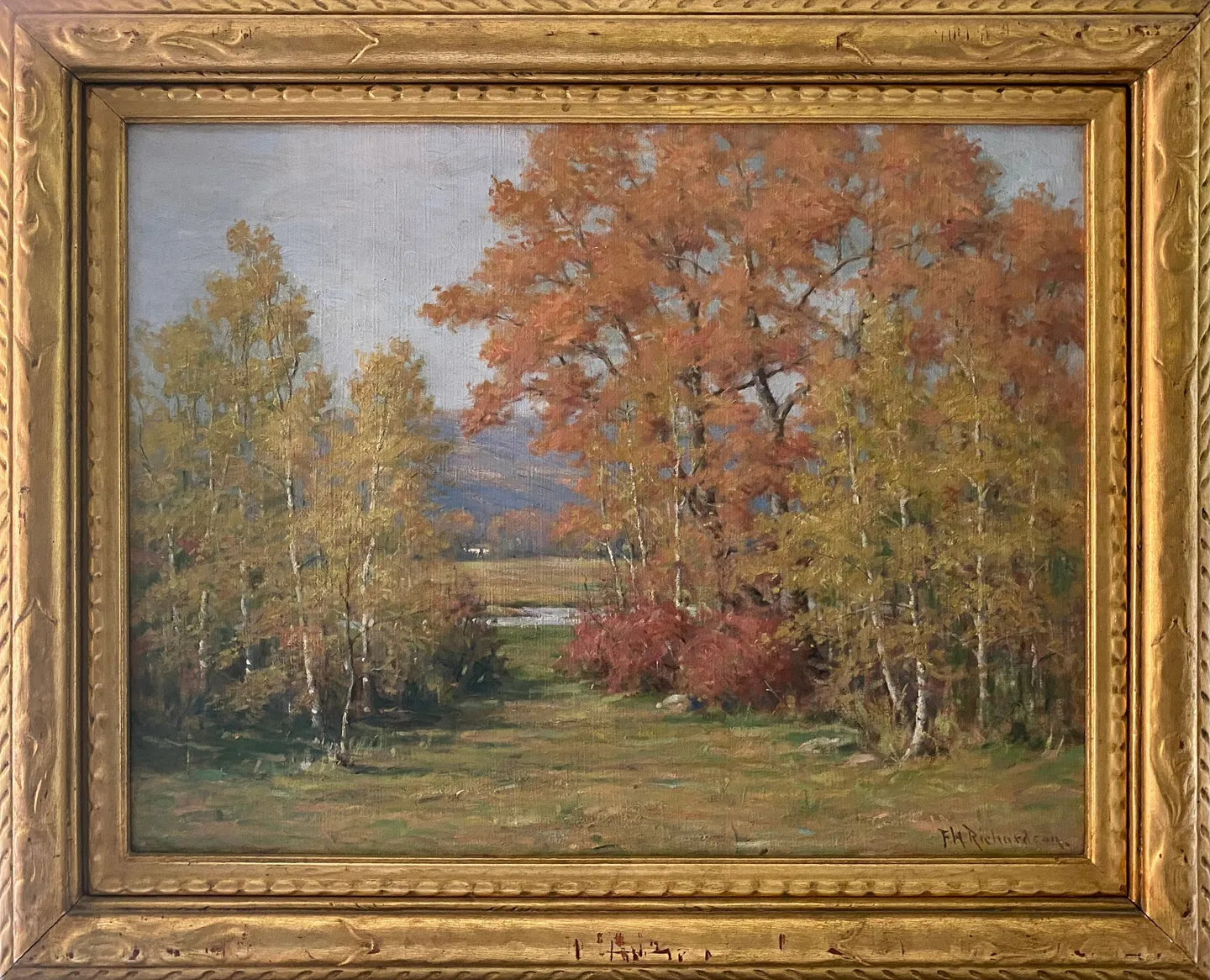 Birches and trees in orange autumn leaves along a grassy path