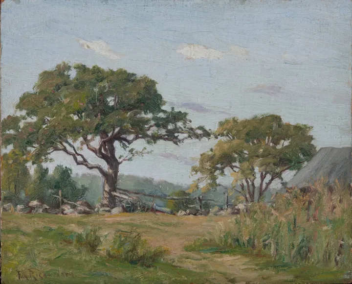 Two broad trees in a summer field with low stone walls and a barn roof